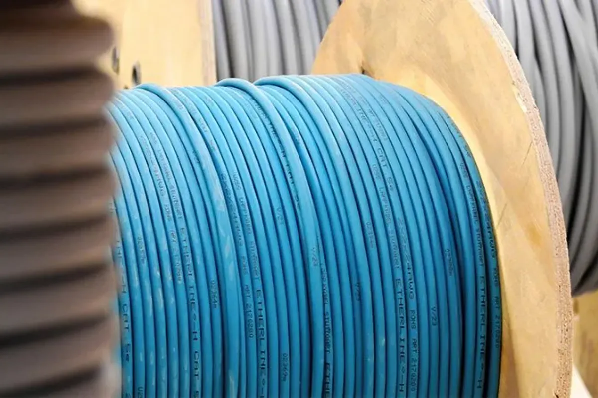 Blue electrical cable coiled on a spool.
